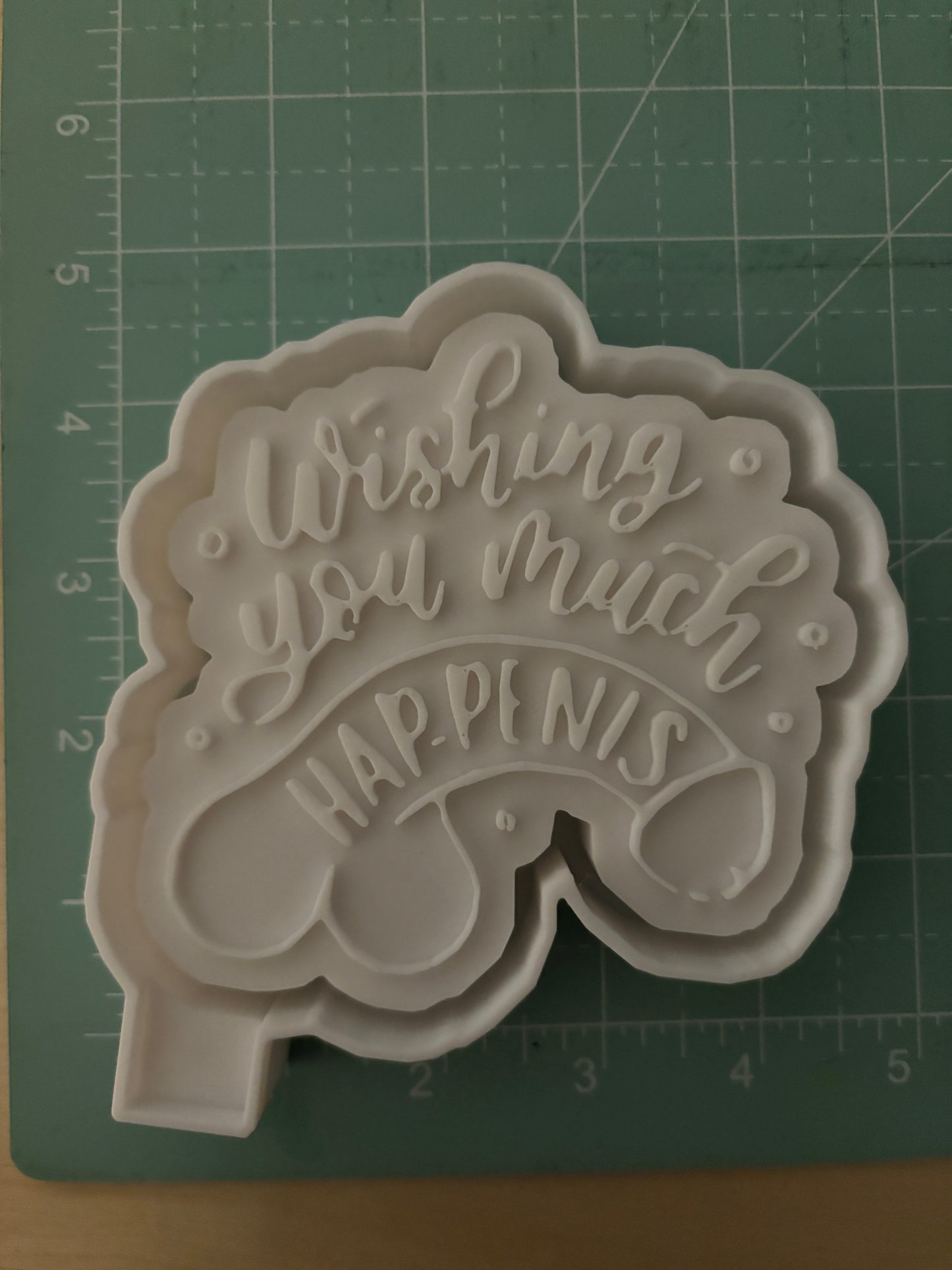 WISHING YOU MUCH HAPPINESS -FRESHIE MOLD
