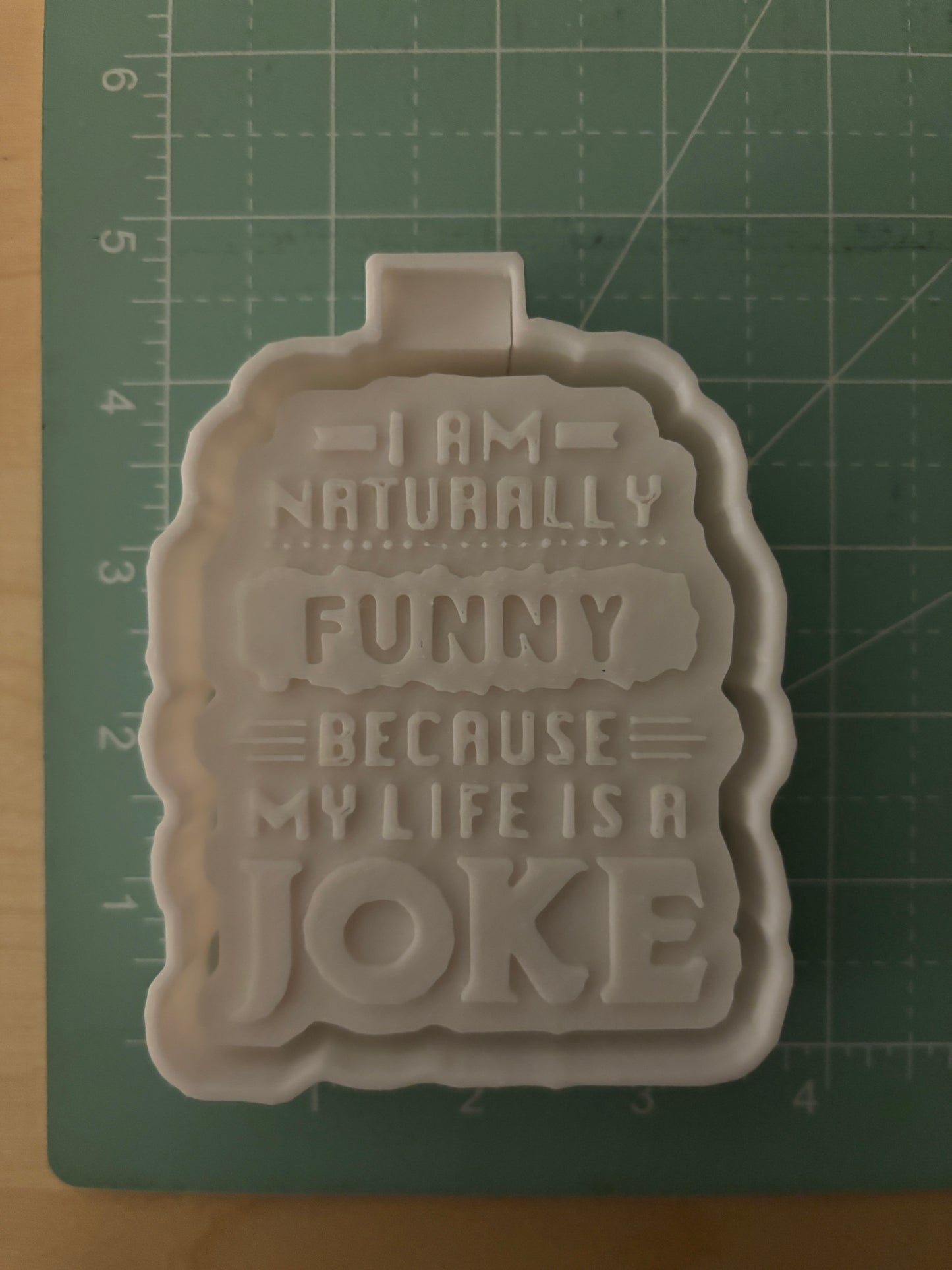 NATURALLY FUNNY LIFE IS A JOKE -FRESHIE MOLD