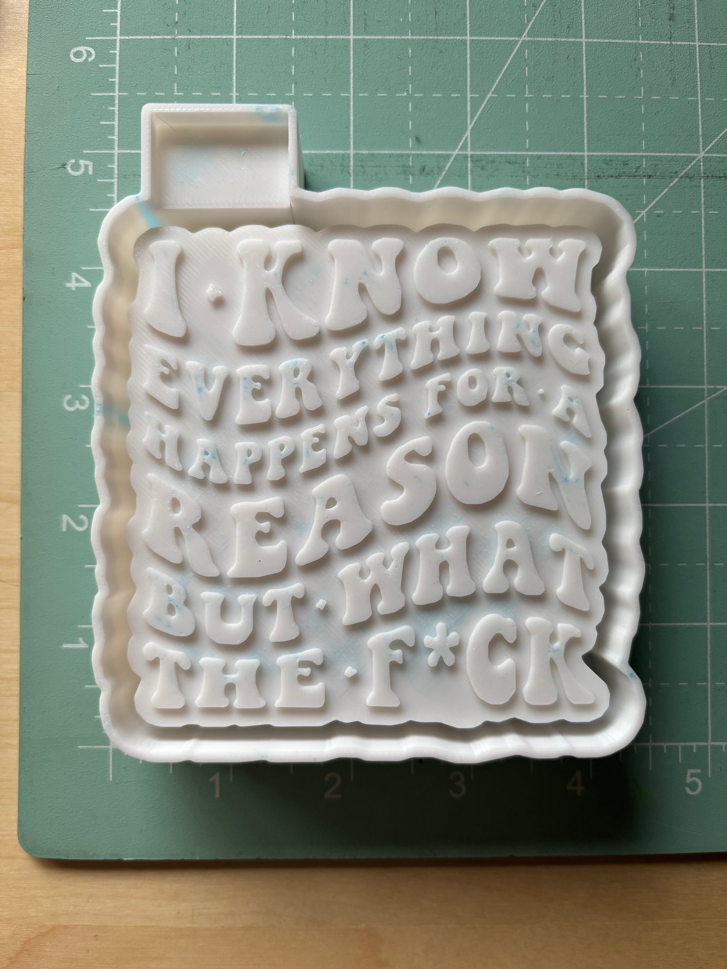 I KNOW EVERYTHING HAPPENS FOR A REASON BUT.. -FRESHIE MOLD