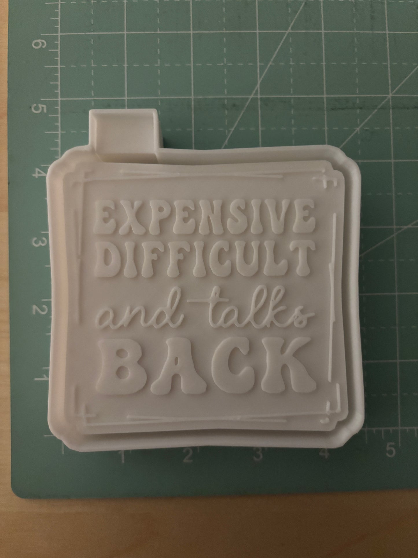 EXPENSIVE DIFFICULT AND TALKS BACK -FRESHIE MOLD