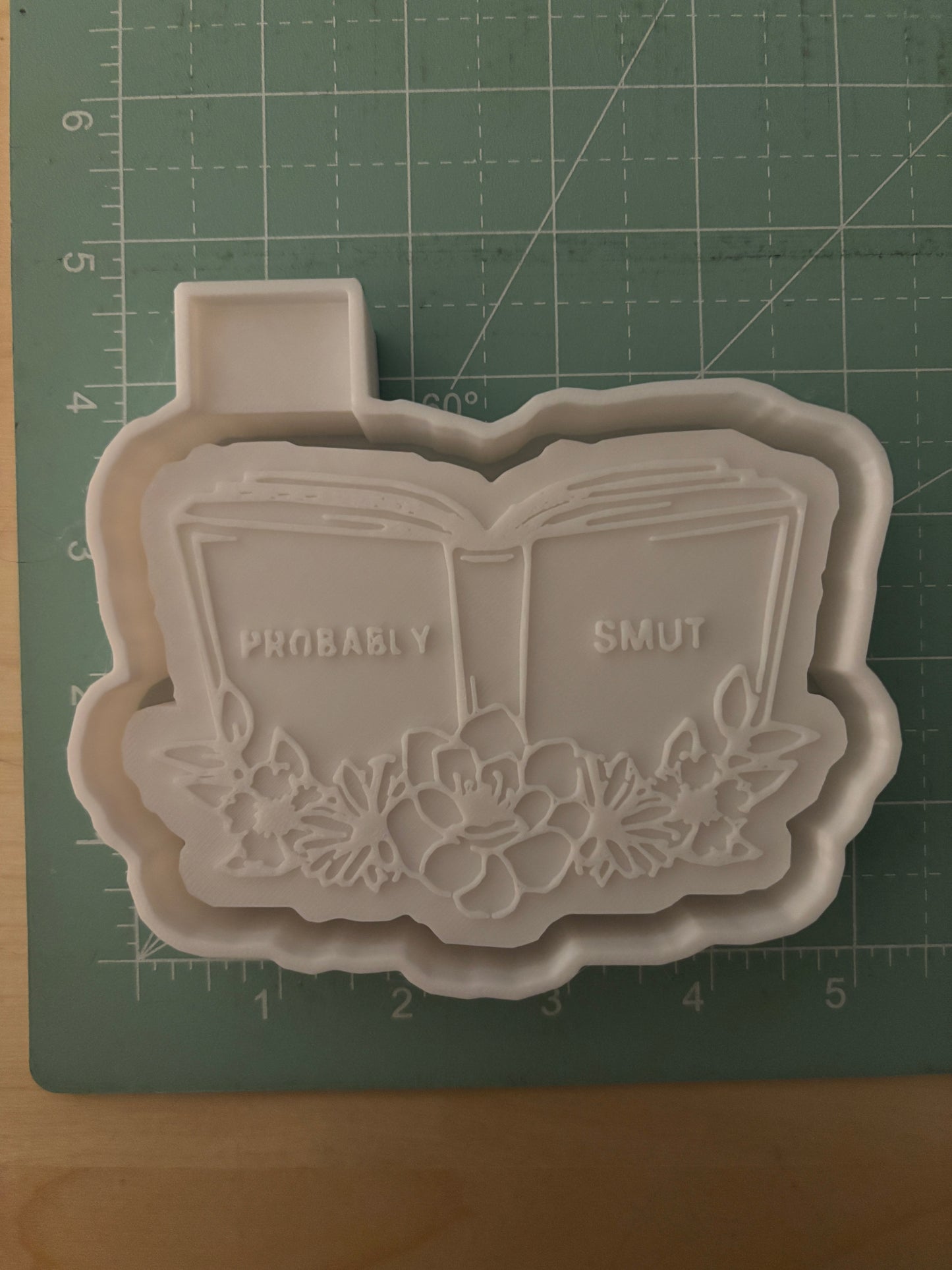 PROBABLY SMUT BOOKS -FRESHIE MOLD