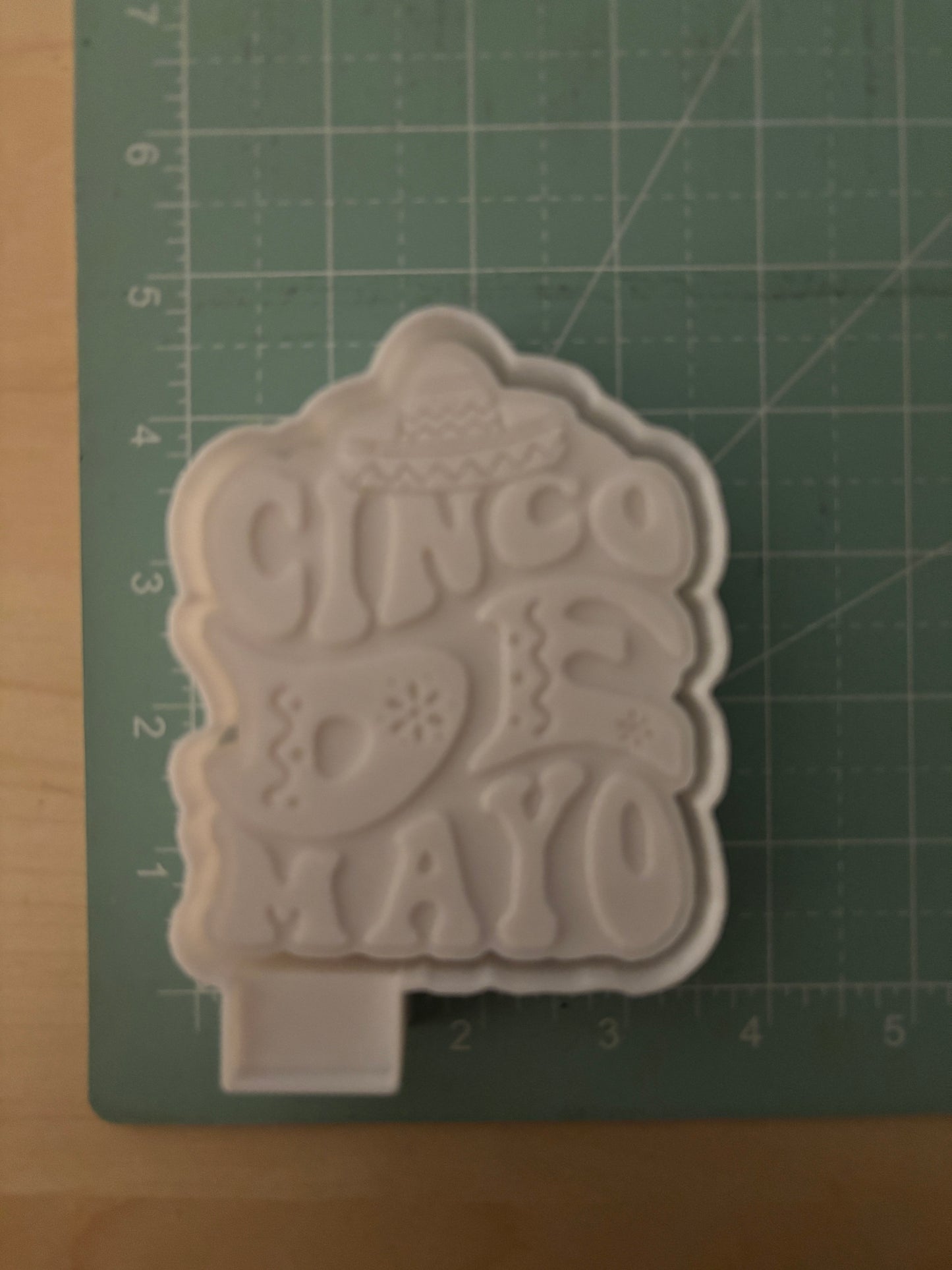 CINCO DE MAYO -FRESHIE MOLD