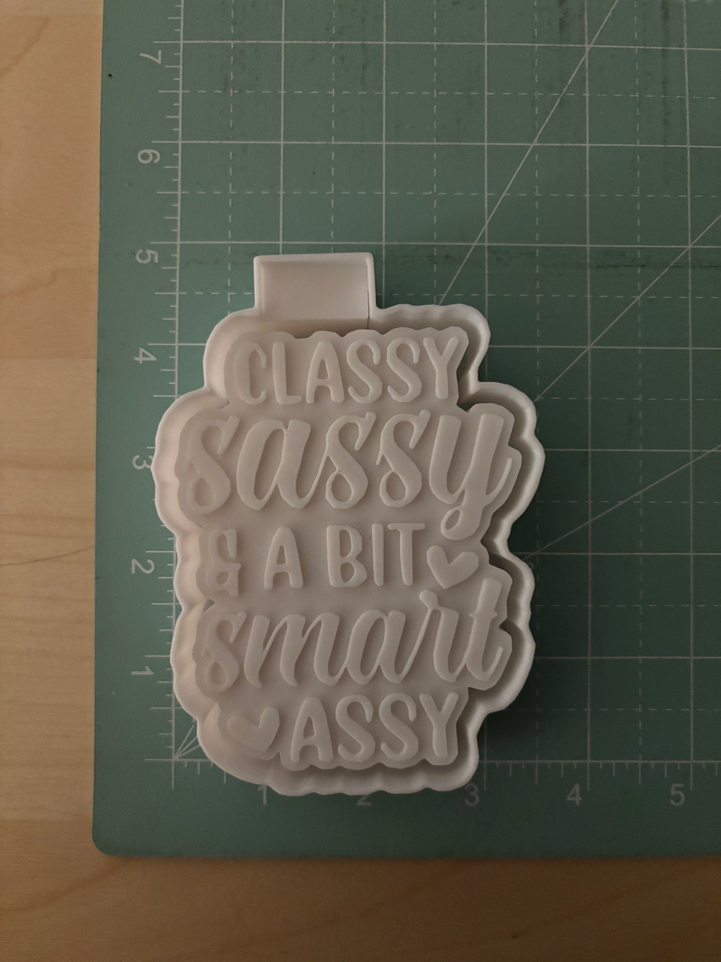 CLASSY, SASSY AND A BIT SMART ASSY -FRESHIE MOLD