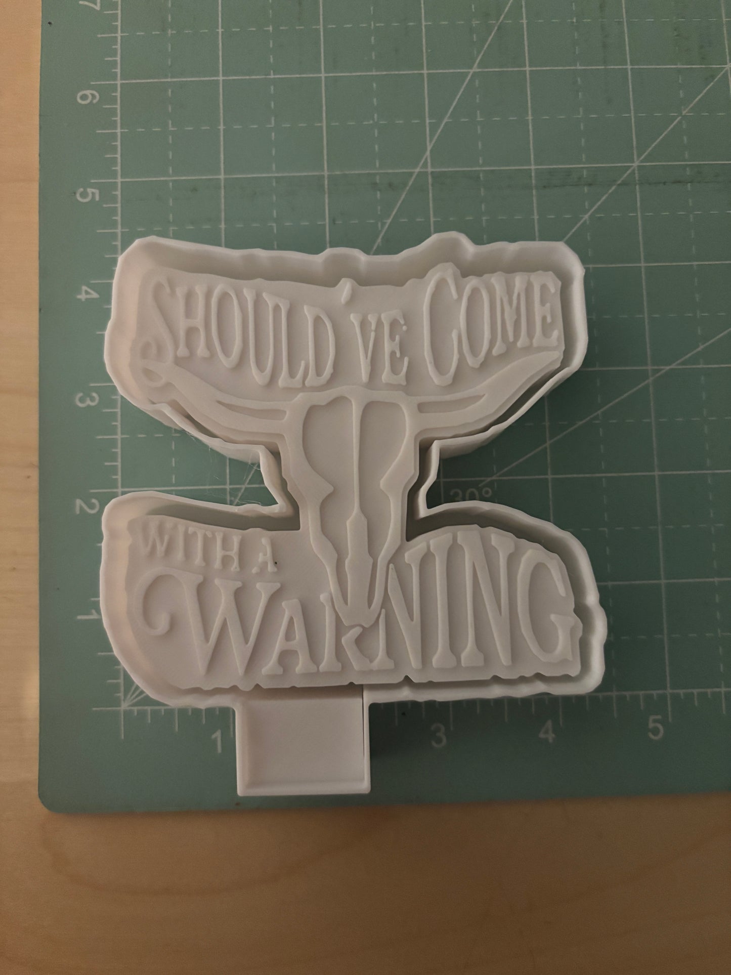 SHOULD'VE COME WITH A WARNING -FRESHIE MOLD