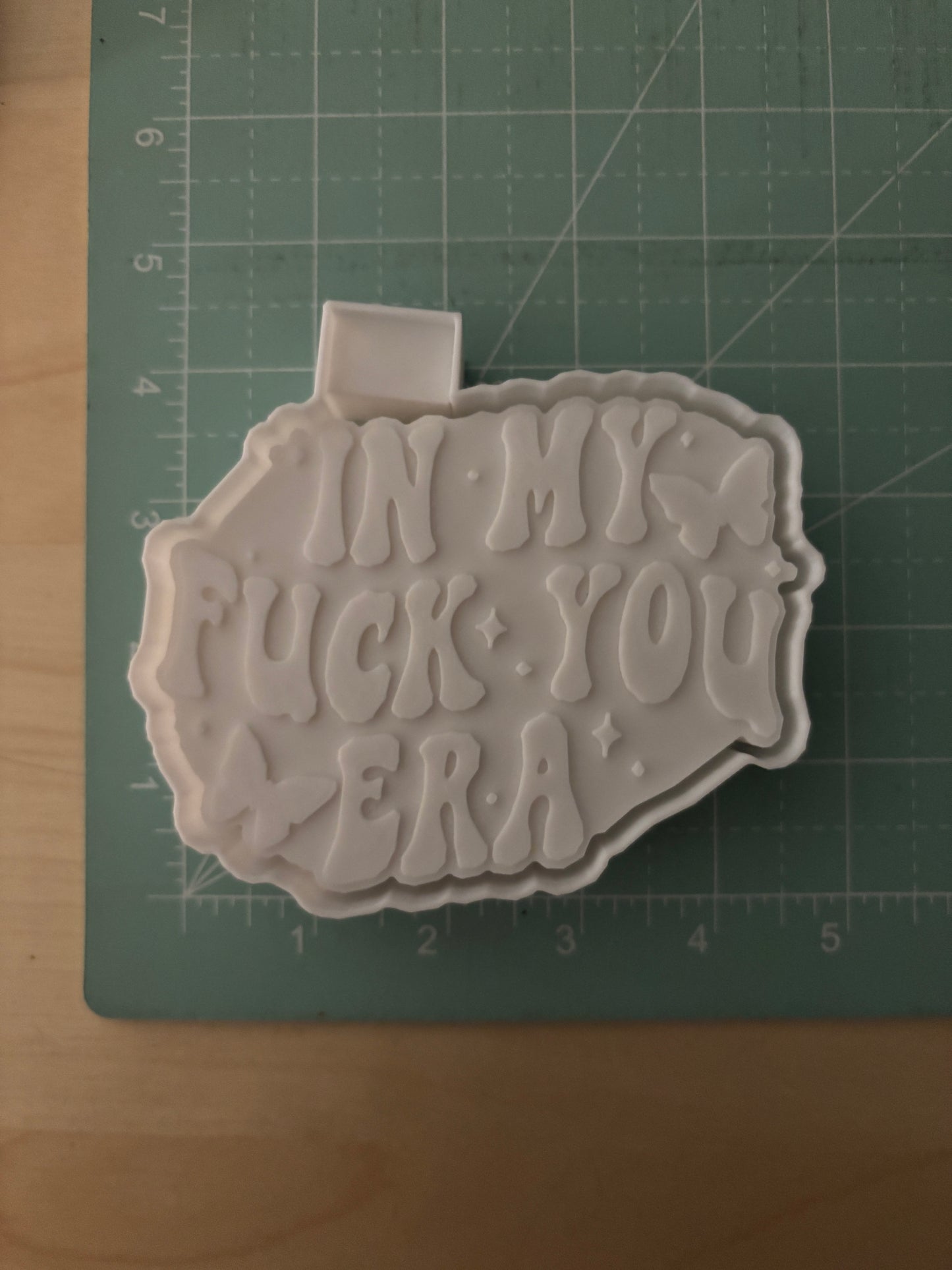 IN MY FU ERA -FRESHIE MOLD