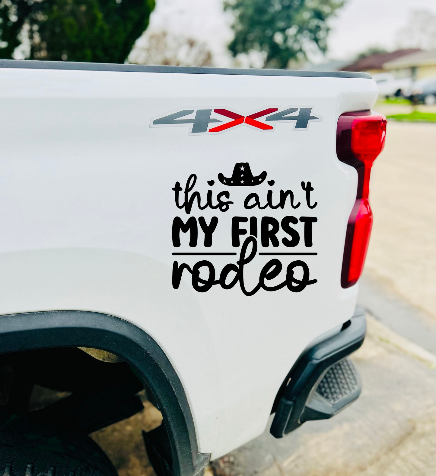 THIS AIN'T MY FIRST RODEO - TRUCK QUARTER PANEL
