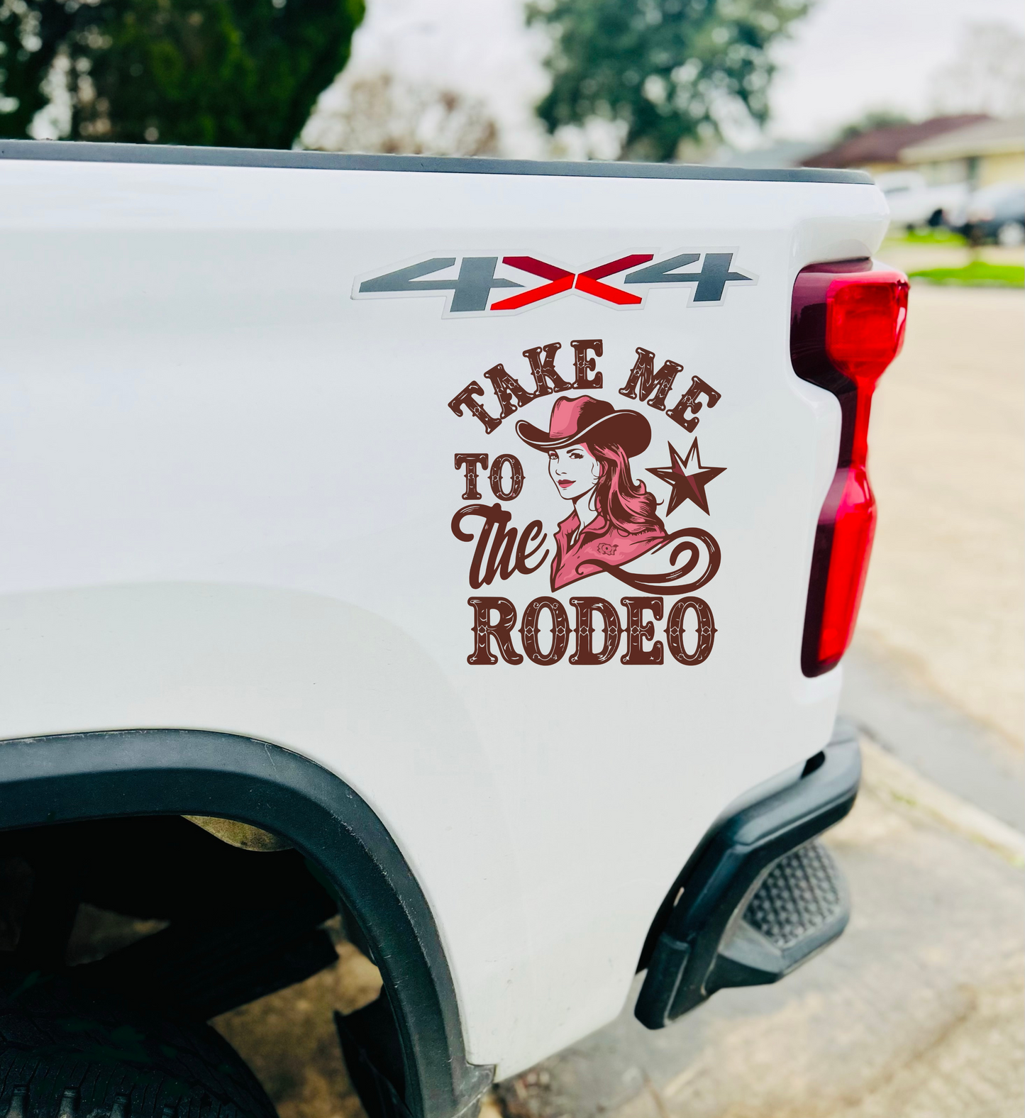 TAKE ME TO THE RODEO - TRUCK QUARTER PANEL