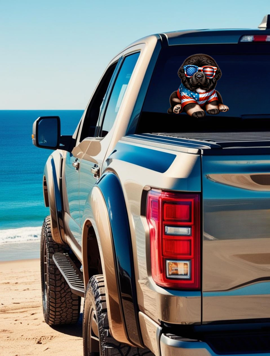 AMERICAN DOG
