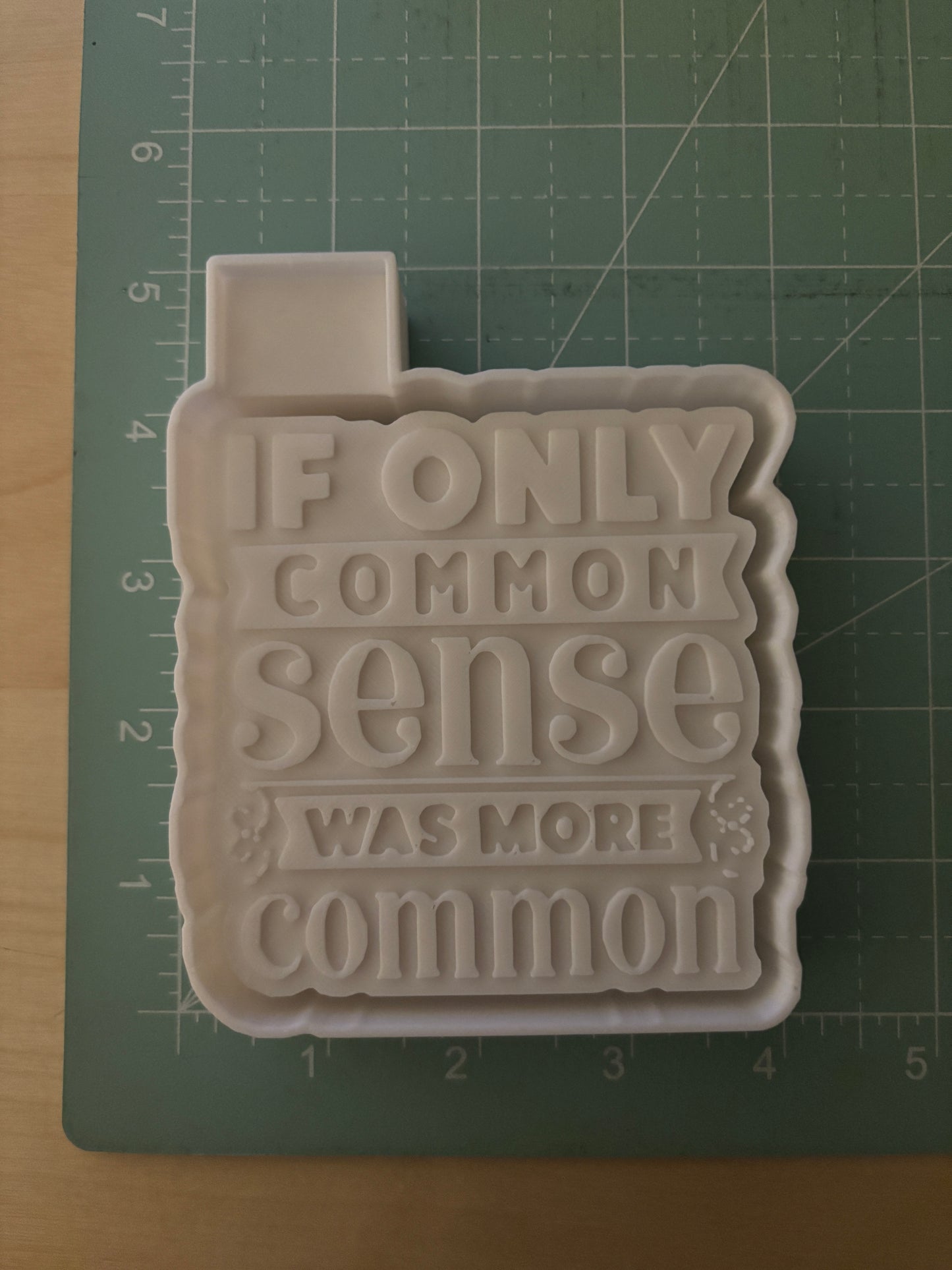 IF ONLY COMMON SENSE WAS MORE COMMON -FRESHIE MOLD