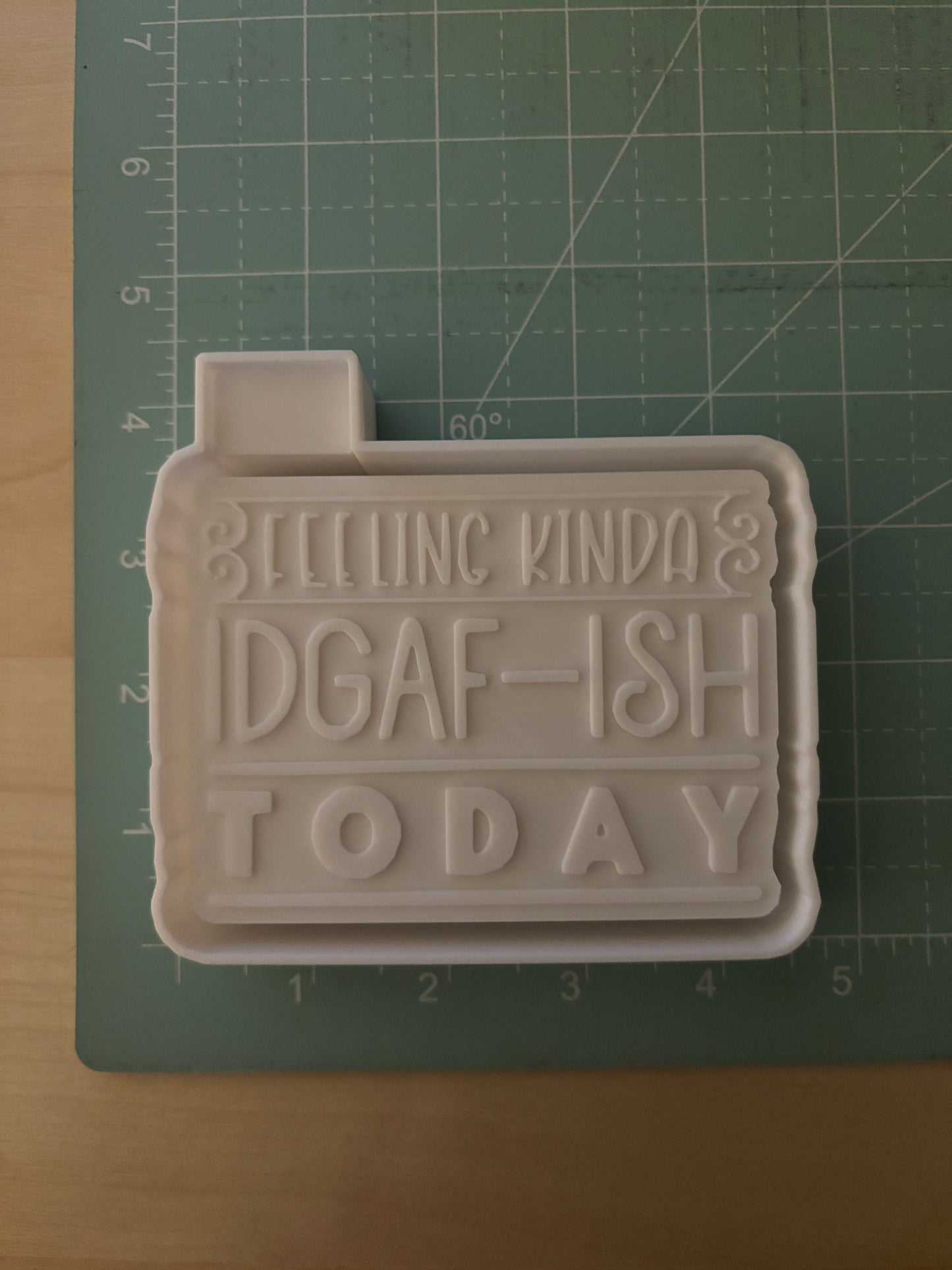 FEELING KINDA IDGAF-ISH TODAY  -FRESHIE MOLD