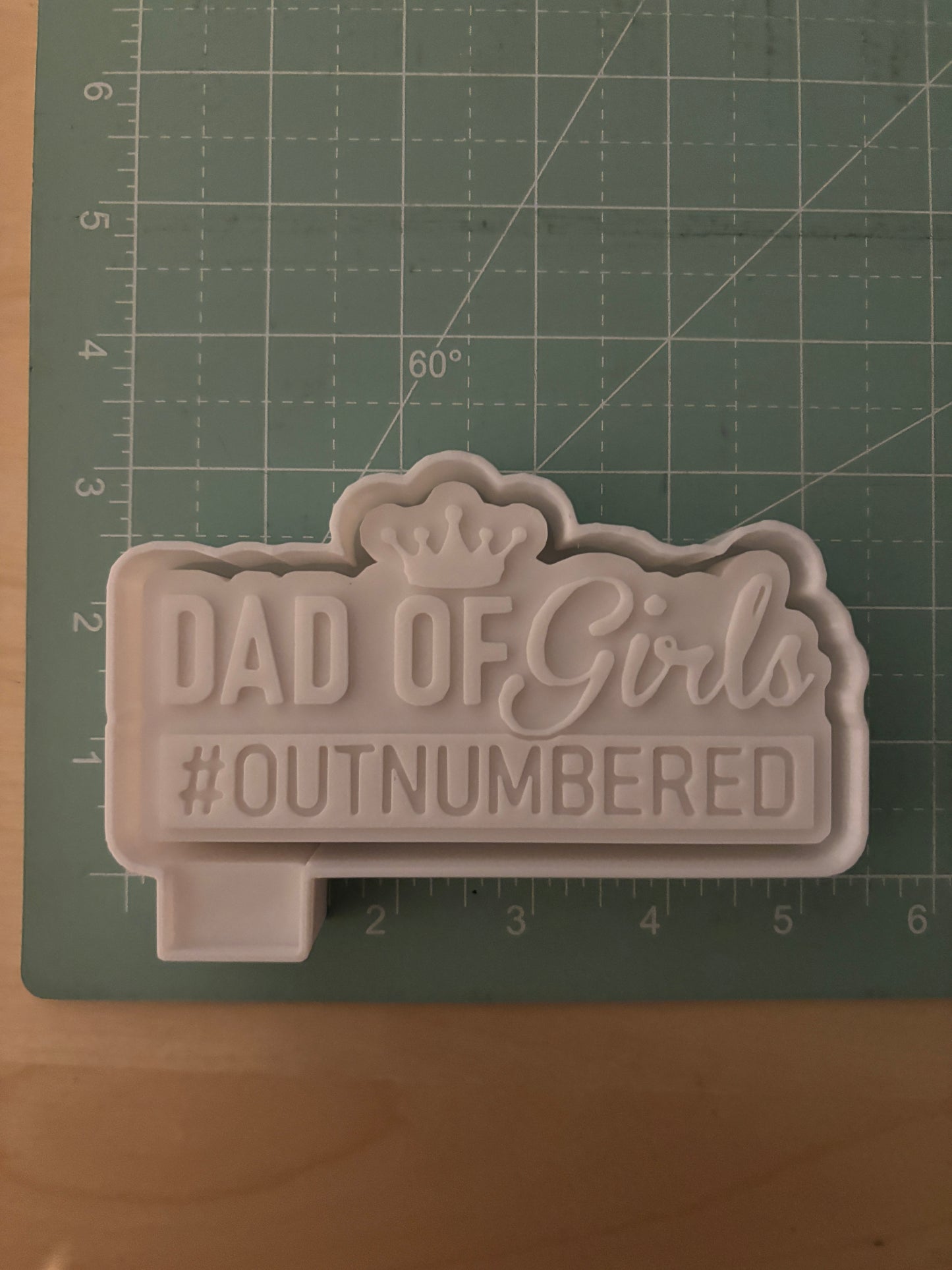DAD OF GIRLS -FRESHIE MOLD