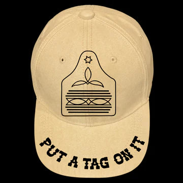 PUT A TAG ON IT - SUEDE BASEBALL HAT