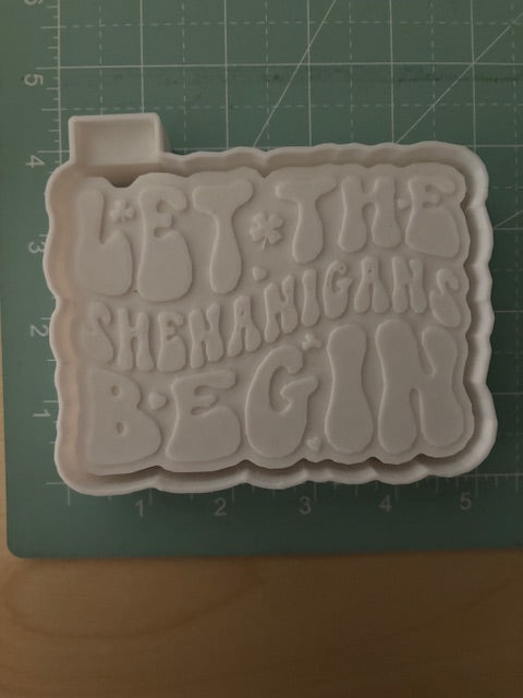 LET THE SHENANIGANS BEGIN -FRESHIE MOLD